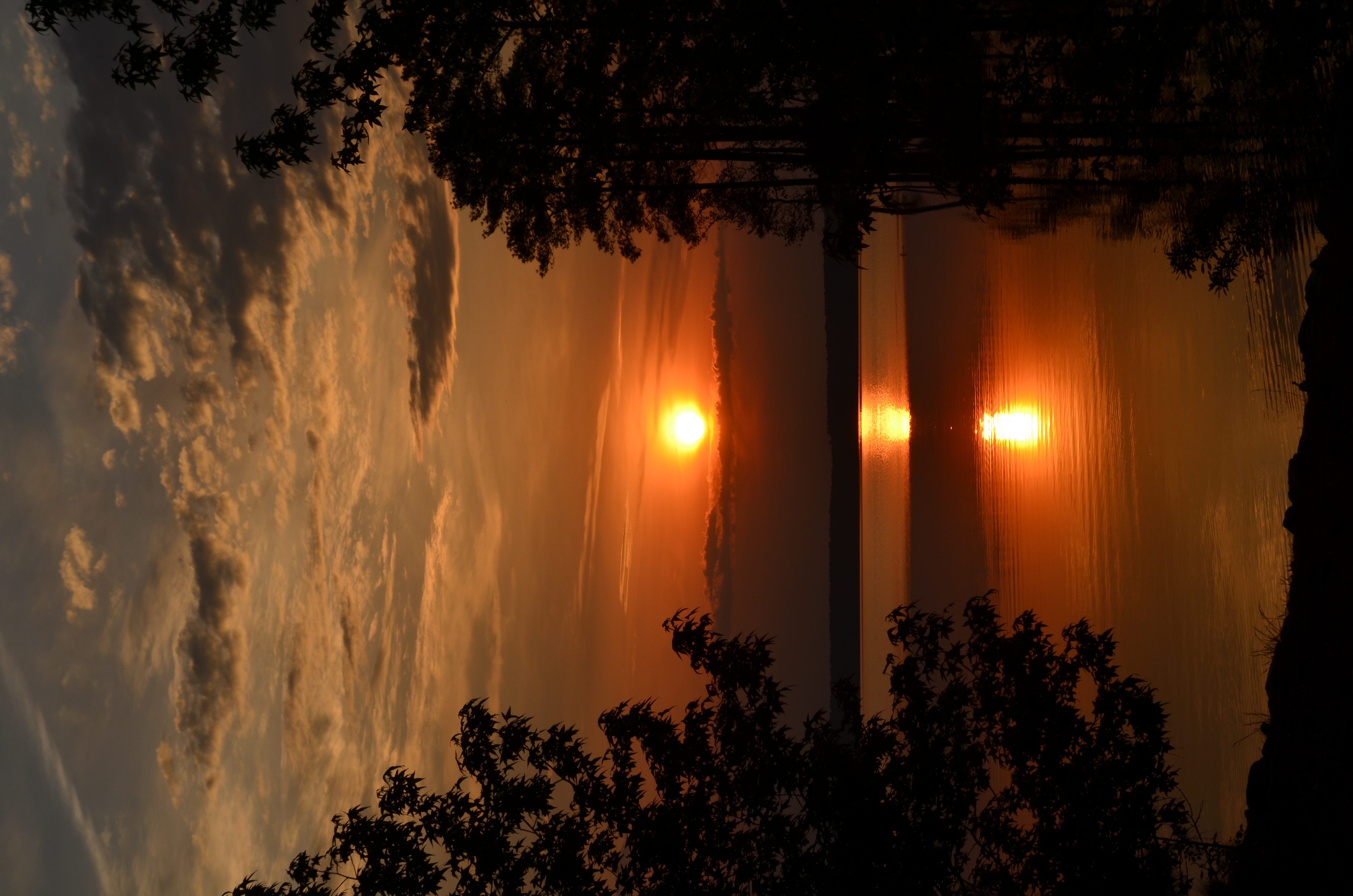 ./2016/09 - Kerr Lake/DSC_0992.JPG